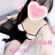 ヒメ日記 2024/12/31 11:19 投稿 こゆき マダムの品格