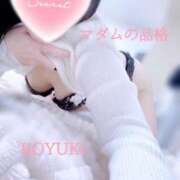 ヒメ日記 2025/01/01 22:47 投稿 こゆき マダムの品格