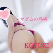 ヒメ日記 2025/01/03 16:58 投稿 こゆき マダムの品格