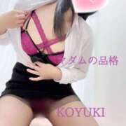 ヒメ日記 2025/01/03 20:36 投稿 こゆき マダムの品格