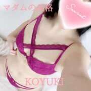 ヒメ日記 2025/01/04 08:39 投稿 こゆき マダムの品格