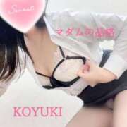 ヒメ日記 2025/01/05 00:56 投稿 こゆき マダムの品格