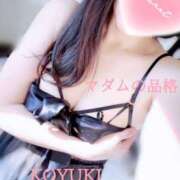 ヒメ日記 2025/01/05 14:44 投稿 こゆき マダムの品格