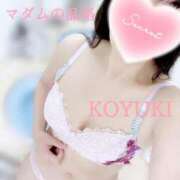 ヒメ日記 2025/01/08 04:33 投稿 こゆき マダムの品格