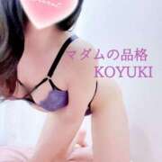 ヒメ日記 2025/01/11 12:13 投稿 こゆき マダムの品格