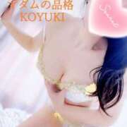 ヒメ日記 2025/01/11 15:59 投稿 こゆき マダムの品格