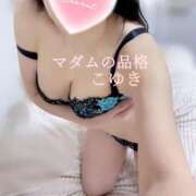 ヒメ日記 2025/01/12 18:06 投稿 こゆき マダムの品格