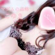 ヒメ日記 2025/01/16 03:47 投稿 こゆき マダムの品格