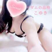 ヒメ日記 2025/01/16 04:21 投稿 こゆき マダムの品格