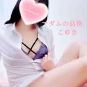 ヒメ日記 2025/01/20 14:17 投稿 こゆき マダムの品格