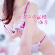 ヒメ日記 2025/02/02 17:45 投稿 こゆき マダムの品格