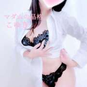 ヒメ日記 2025/02/03 08:40 投稿 こゆき マダムの品格