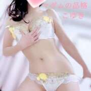 ヒメ日記 2025/02/13 11:55 投稿 こゆき マダムの品格