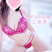 ヒメ日記 2025/02/14 13:54 投稿 こゆき マダムの品格