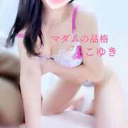 ヒメ日記 2025/02/17 02:15 投稿 こゆき マダムの品格