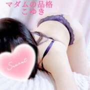 ヒメ日記 2025/02/19 10:17 投稿 こゆき マダムの品格