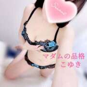 ヒメ日記 2025/02/23 08:33 投稿 こゆき マダムの品格