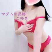 ヒメ日記 2025/02/25 16:01 投稿 こゆき マダムの品格