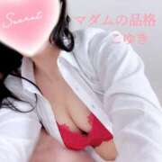 ヒメ日記 2025/03/03 21:48 投稿 こゆき マダムの品格