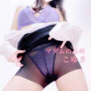 ヒメ日記 2025/03/04 14:30 投稿 こゆき マダムの品格