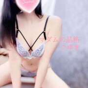 ヒメ日記 2025/03/09 13:50 投稿 こゆき マダムの品格