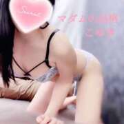 ヒメ日記 2025/03/09 17:43 投稿 こゆき マダムの品格