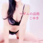 ヒメ日記 2025/03/14 14:34 投稿 こゆき マダムの品格