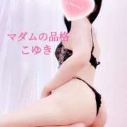 ヒメ日記 2025/03/14 17:53 投稿 こゆき マダムの品格