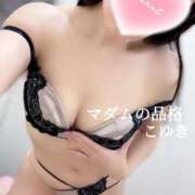 ヒメ日記 2025/03/16 19:23 投稿 こゆき マダムの品格