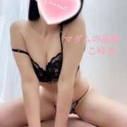 ヒメ日記 2025/03/17 12:00 投稿 こゆき マダムの品格