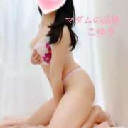 ヒメ日記 2025/03/20 17:31 投稿 こゆき マダムの品格