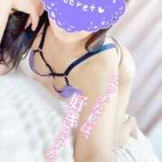 ヒメ日記 2025/03/20 20:10 投稿 こゆき マダムの品格