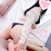 ヒメ日記 2025/04/04 07:05 投稿 こゆき マダムの品格