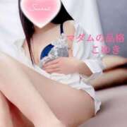 ヒメ日記 2025/04/06 16:34 投稿 こゆき マダムの品格