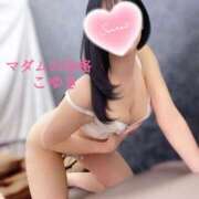 ヒメ日記 2025/04/07 17:51 投稿 こゆき マダムの品格