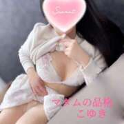 ヒメ日記 2025/04/10 17:10 投稿 こゆき マダムの品格