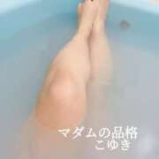 ヒメ日記 2025/04/13 03:12 投稿 こゆき マダムの品格