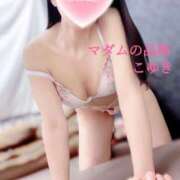 ヒメ日記 2025/04/14 14:32 投稿 こゆき マダムの品格