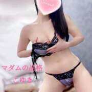 ヒメ日記 2025/04/15 22:48 投稿 こゆき マダムの品格