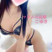 ヒメ日記 2025/04/17 09:17 投稿 こゆき マダムの品格