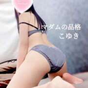 ヒメ日記 2025/04/17 21:09 投稿 こゆき マダムの品格