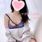 ヒメ日記 2025/04/18 15:45 投稿 こゆき マダムの品格