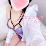 ヒメ日記 2025/04/18 17:58 投稿 こゆき マダムの品格