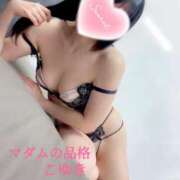 ヒメ日記 2025/04/20 06:39 投稿 こゆき マダムの品格