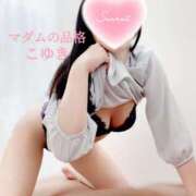 ヒメ日記 2025/04/20 07:40 投稿 こゆき マダムの品格