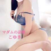 ヒメ日記 2025/04/23 20:31 投稿 こゆき マダムの品格