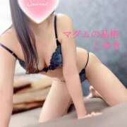 ヒメ日記 2025/04/26 09:40 投稿 こゆき マダムの品格