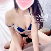 ヒメ日記 2025/04/28 22:42 投稿 こゆき マダムの品格