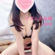 ヒメ日記 2025/05/07 06:45 投稿 こゆき マダムの品格