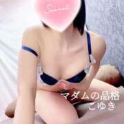 ヒメ日記 2025/05/12 09:19 投稿 こゆき マダムの品格